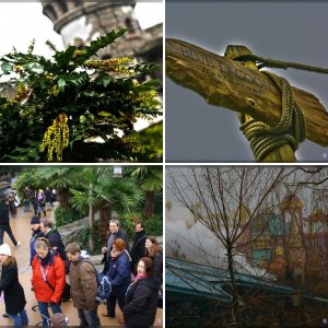 Disneyland Paris - Januar 2011