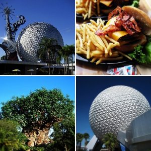 ein paar bilder