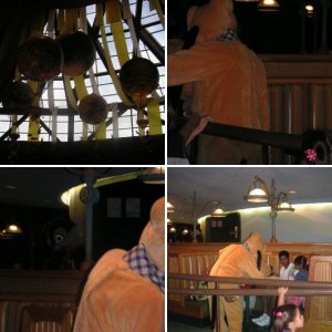 WDW 2005 + 2006