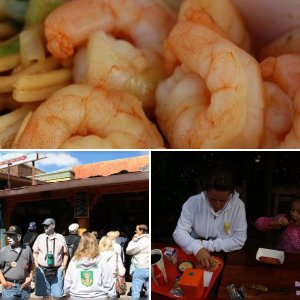 Walt Disney World Resort - Food Mix