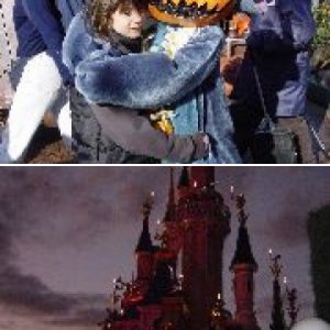 DLP 04