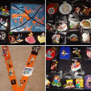 Pin-Sammlung