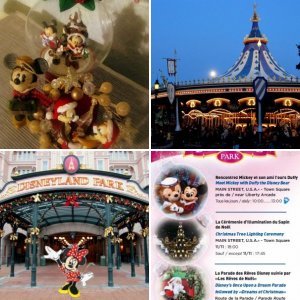 DLP 2011