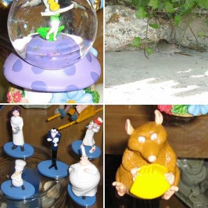 Bilder für Bericht Tag 4 + 5