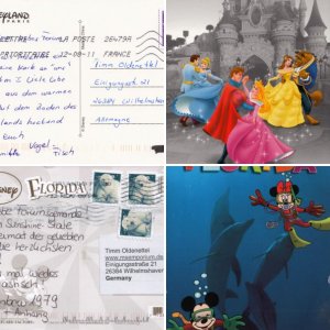 Postkartengrüße aus der Disney Welt