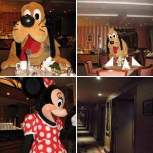 Disneyland Winter 2011