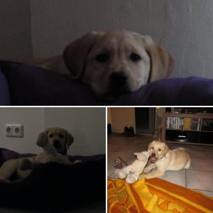 Unsere Lila