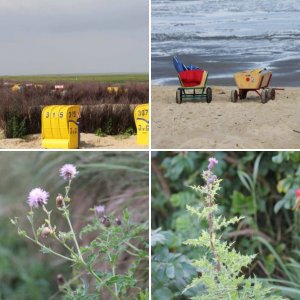 Nordseereise August 2012