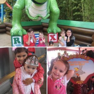 DLP2011
