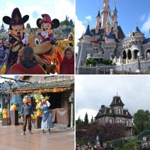 DLP 2012