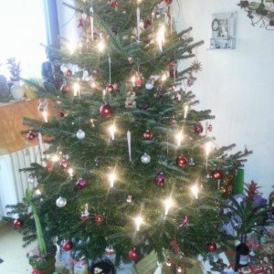 Weihnachten 2012