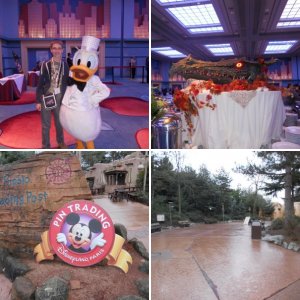 DLP 13.12-16.12.12