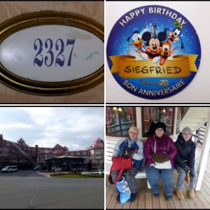 DLP Februar 2013