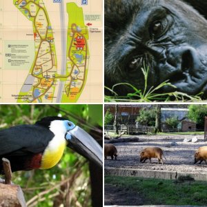 Zoo Duisburg