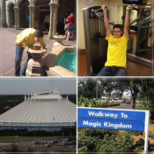 WDW 2013