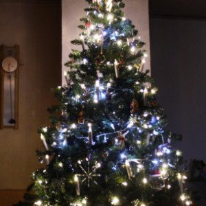 Christmas tree 2013