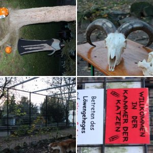 Halloween im Zoo und bei uns zuhaus