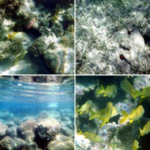 Unterwasser