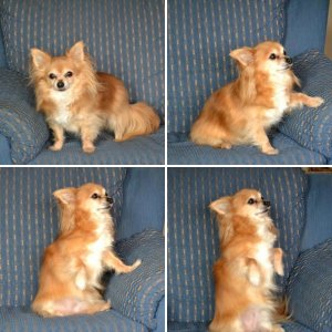 Mein kleiner Liebling