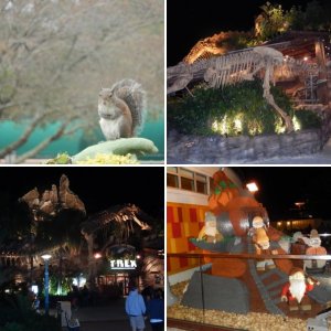 WDW 2014 Part 3