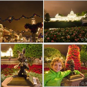 WDW Weihnachten 2013, Tag 11