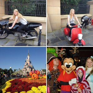 DLP 31.10.2014