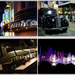 WDW 2014- Tag 3