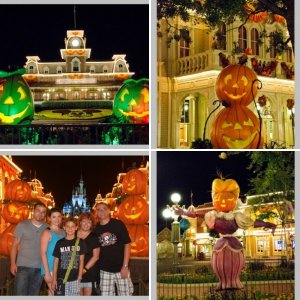 WDW 2014- Tag 8