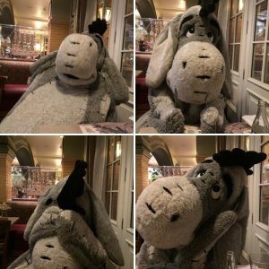 Disneyland Paris 24.-27.03.2015