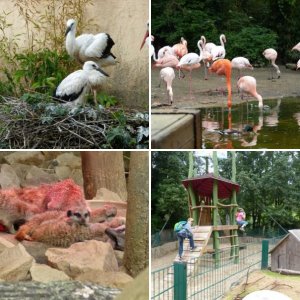 Usertreffen Norden 2015 Zoo Hannover