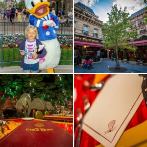 DLP Juli 2015