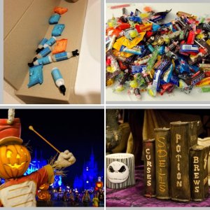 WDW 2014- Tag 10