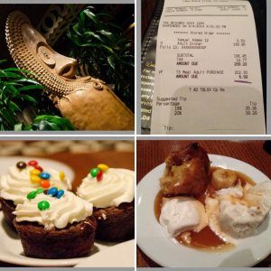 WDW 2014- Tag 13