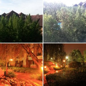 Orlando 2015 Tag 07 (29.08.)