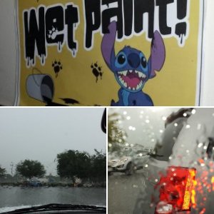 Orlando 2015 Tag 13 (04.09.)