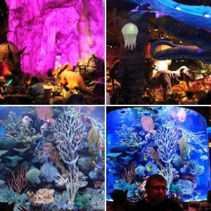 Orlando 2015 Tag 14 (05.09.)
