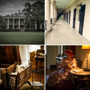 Oak Alley Plantation