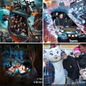 DLP Januar 2017