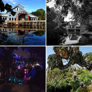 WDW 2017