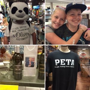 Orlando 2017 Tag 11 (24.08.)