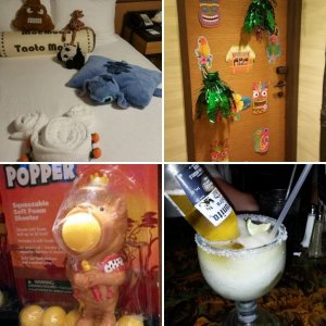 Orlando 2017 Tag 20 (02.09.)