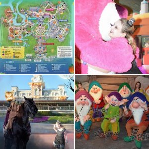 WDW 2017