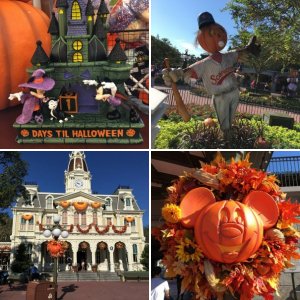 WDW Reise September 2019