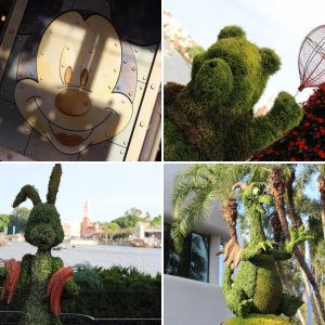 Flower & Garden Festival 2017