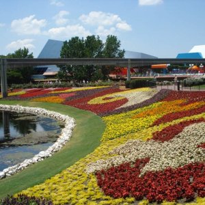 Blütenpracht beim Epcot Flower & Garden Festival