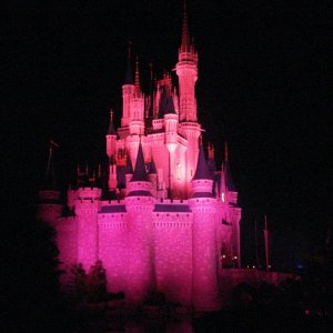 Das Schloss mal ganz in Pink