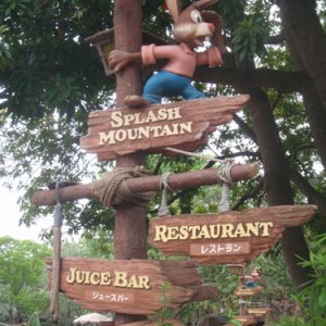 Critter Country