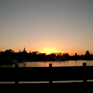 Epcot