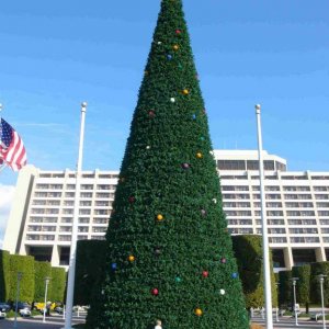 Christmas Tree Contemporary Resort