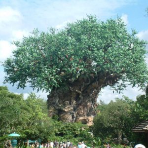 " The Tree of Live "